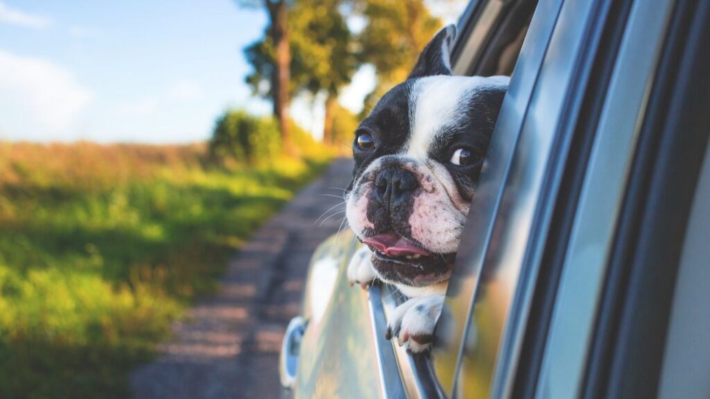 Family Road Trip